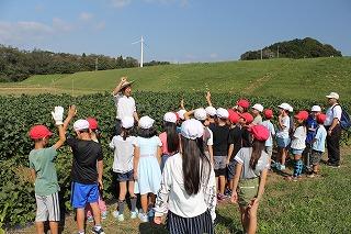 IMG_9976.jpg