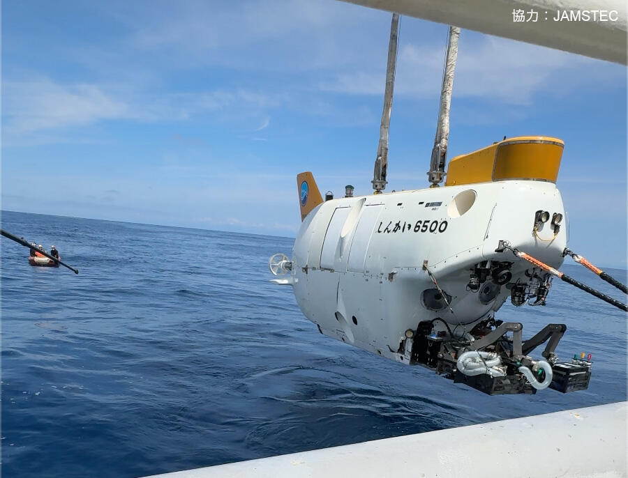 三重大学 生物資源学部・大学院生物資源学研究科 | 木村妙子教授が