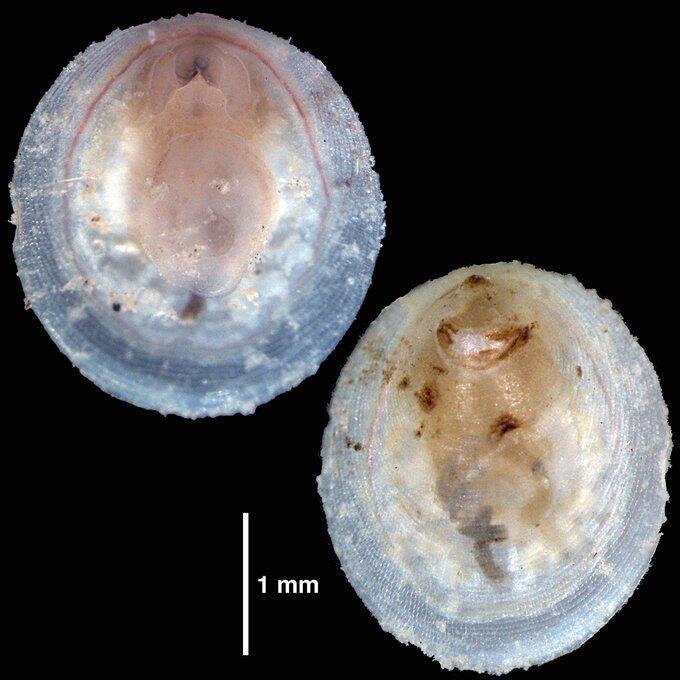三重大学 生物資源学部・大学院生物資源学研究科 | 本研究科の附属練習
