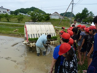 20150528　高野尾小4,5年　田植え (42).jpg