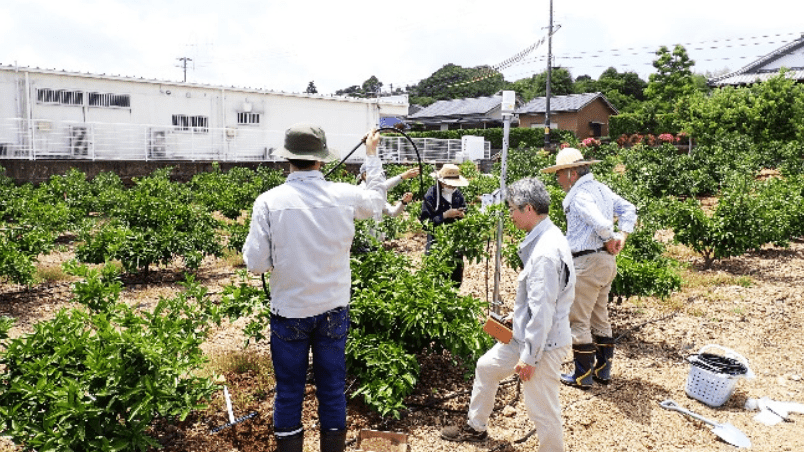 Course of Agricultural, Forest and Environmental Sciences