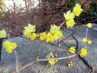 緑環境計画学研究室 Forest Planning For The Environment