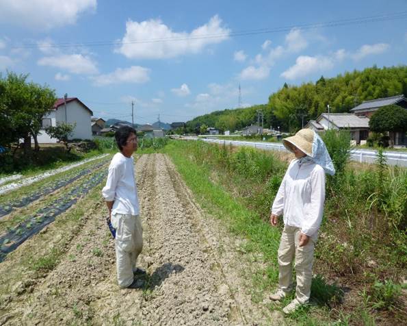 わ菜園の経営者夫妻(三重)