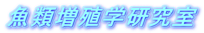 ���ޑ��B�w������
