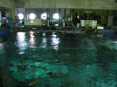 鳥羽水族館紀行