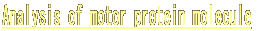 The analysis of the creature molecule motor 